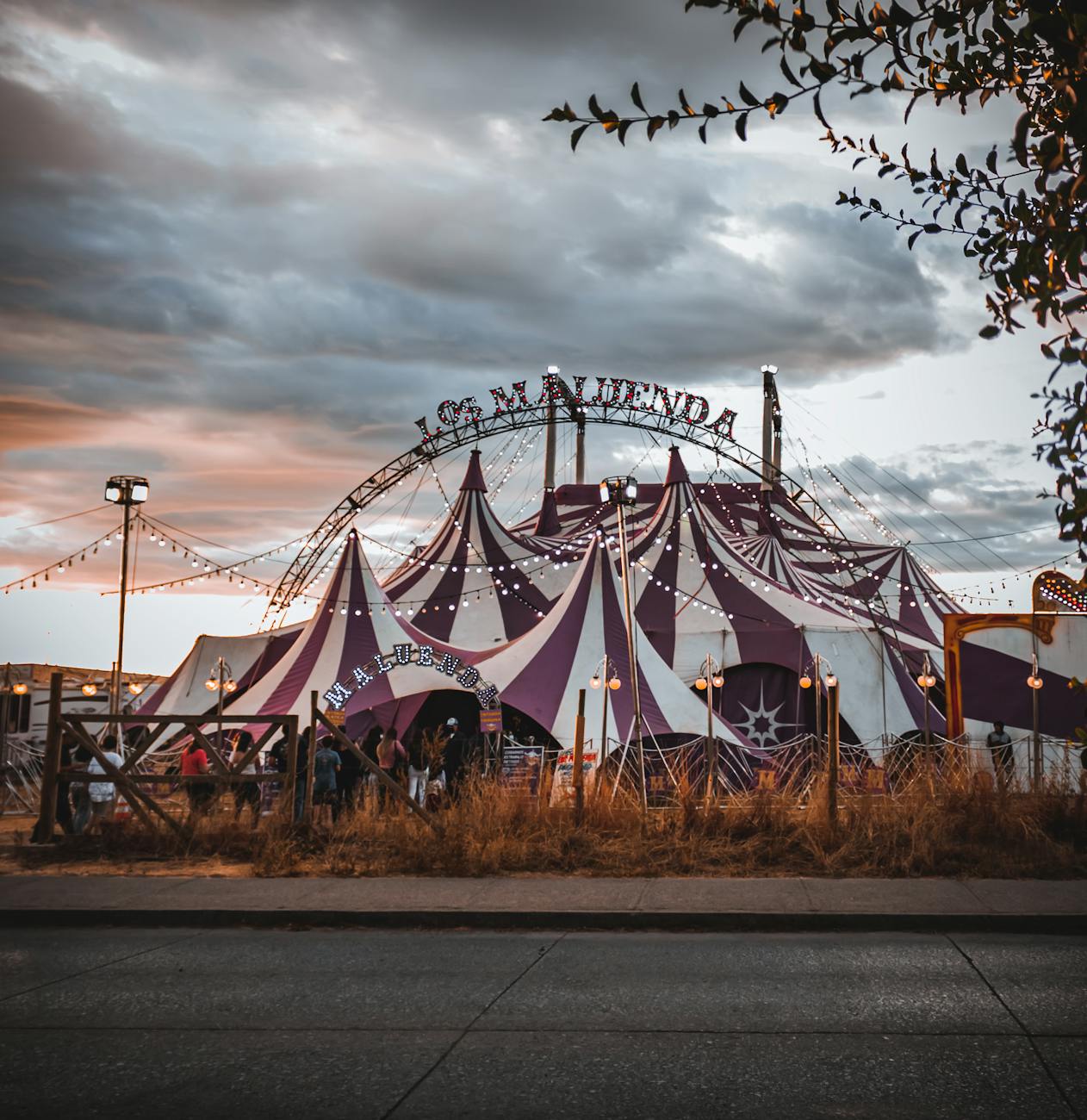 Why Film Festivals Still Matter (Maybe More Than Ever, We’re Sorry to Report)